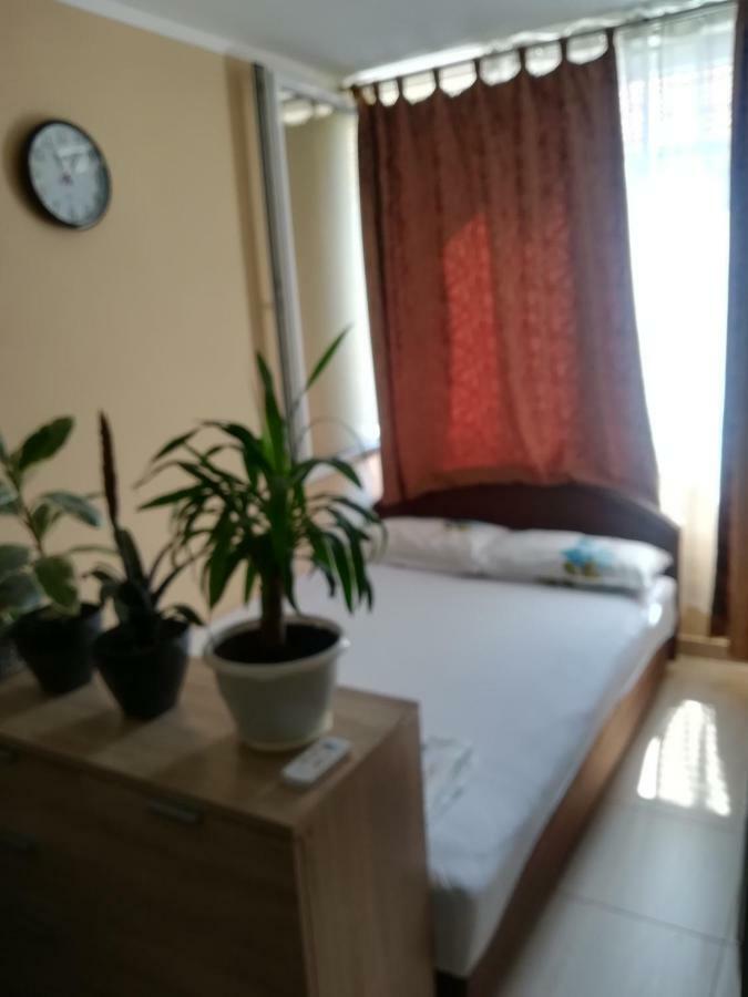Apartments Vis Jaz Будва Экстерьер фото